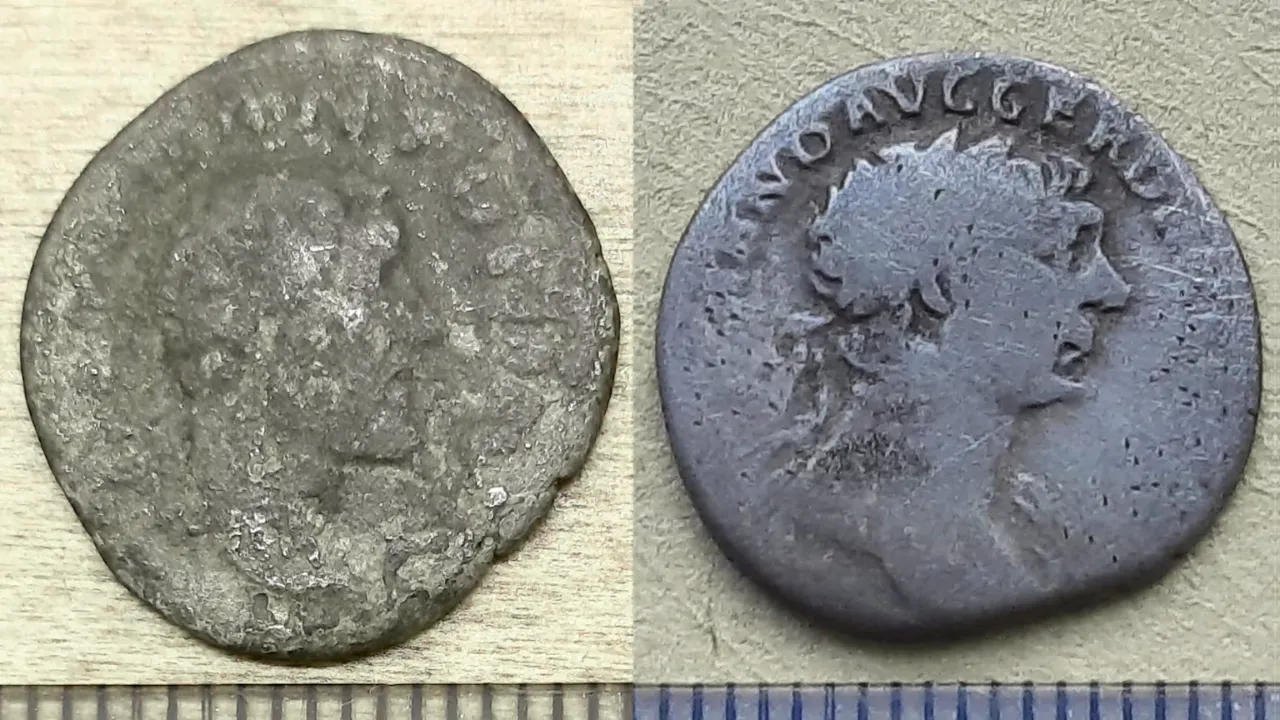 Roman Coins Found in No-Man's Land